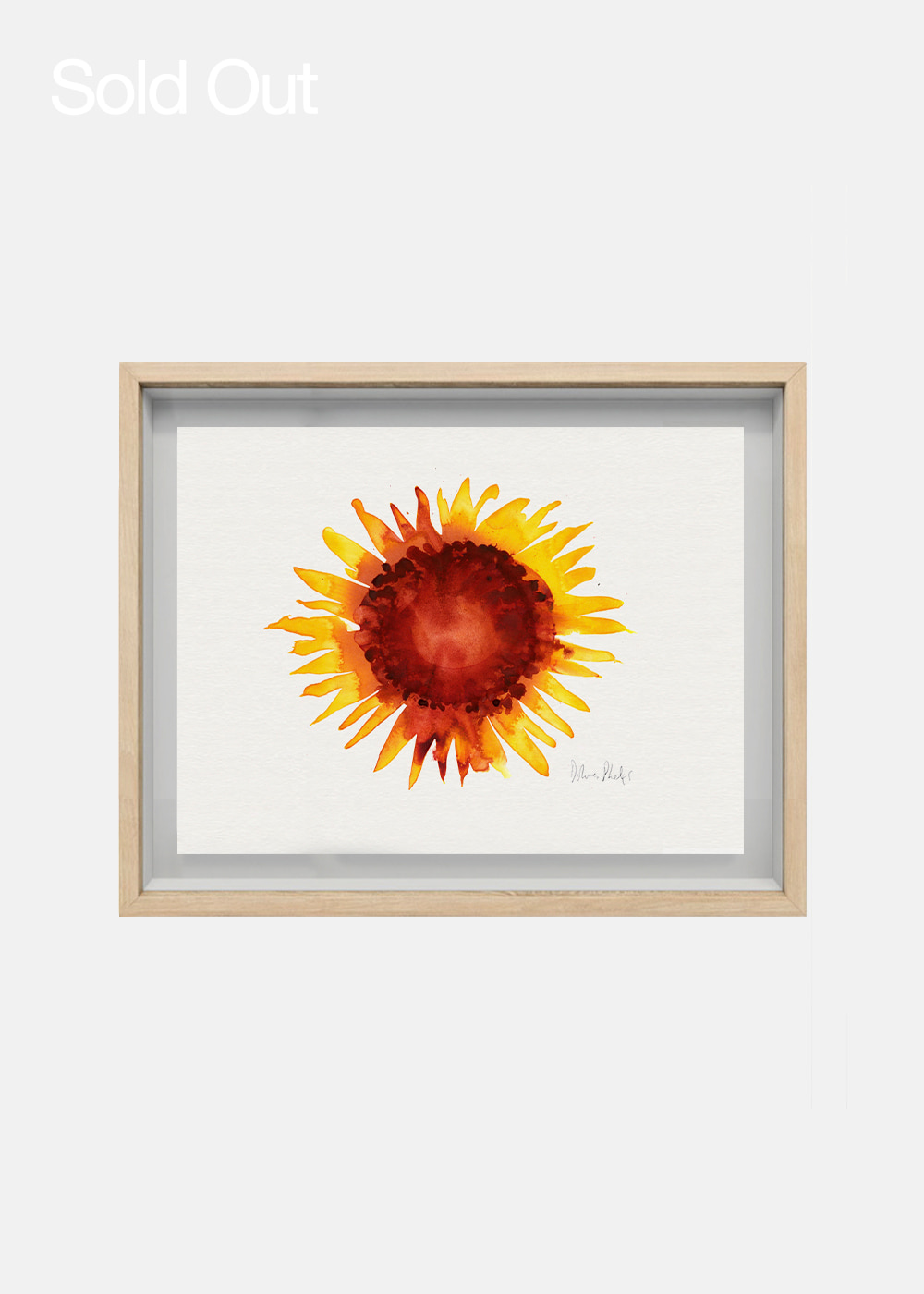 Sunflower, 2022